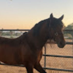 Meet your Posher, Emely